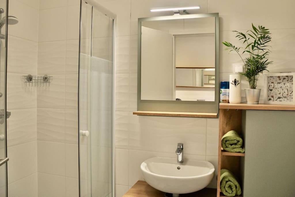 New Studio Apartment In Central Budapest - Free Parking מראה חיצוני תמונה
